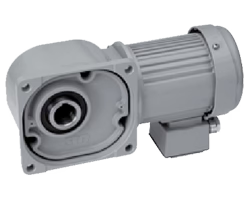 ニッセイギアモータ　FS25N100-MM01SNJAB2　中空軸　FSタイプ　ブレーキ付ギアモータ　単相100V級　0.1(kW)-1/100