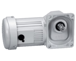 ニッセイギアモータ　H2F22R60-MM02TNNTN　直交軸R軸　フランジ取付　ブレーキなし　三相200V級　0.2(kW)-1/60