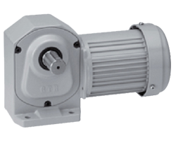 ニッセイギアモータ　H2L22L20-MM02TNNTN　直交軸L軸　脚取付　ブレーキなし　三相200V級　0.2(kW)-1/20