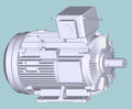 日立　三相　屋外仕様　全閉外扇　脚取付　モータ　TFOA-LKK-30kW-4P-200V/400V