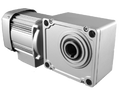 三菱電機ギヤードモータ　GM-SHYF-RH 0.1kW 1/15-屋外　中空軸　フランジ取付　ブレーキなし　三相200V級