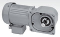 ニッセイギヤードモーター FFM-18R-240-T50A フランジ取付 三相モータ 中実軸 1/240